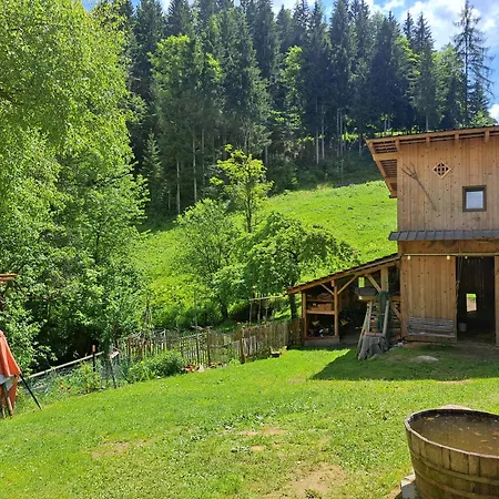 Huethis Waldidylle * Dambach