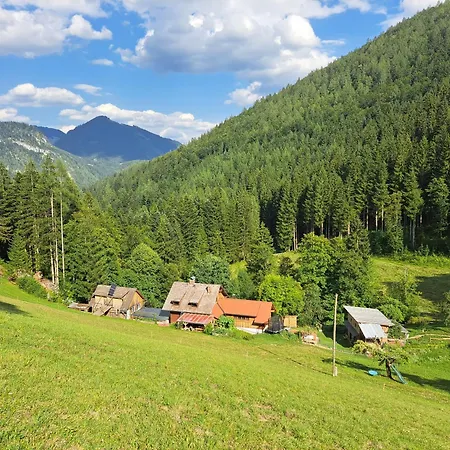 Huethis Waldidylle * Dambach